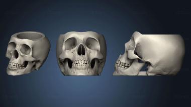 3D модель Кранео (STL)